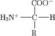 aminoAcid.gif