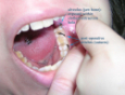 dental.jpg